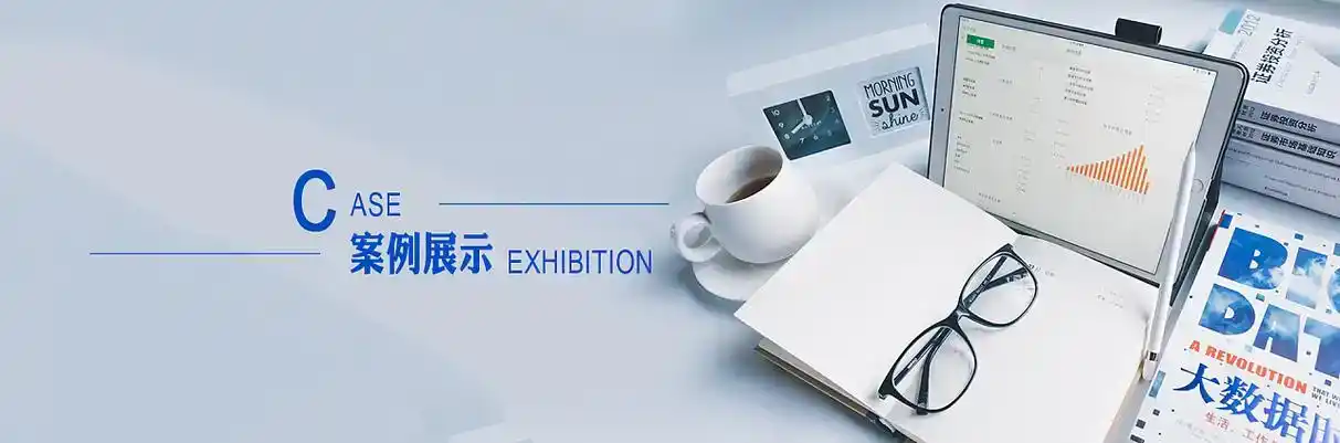 赣县软件开发